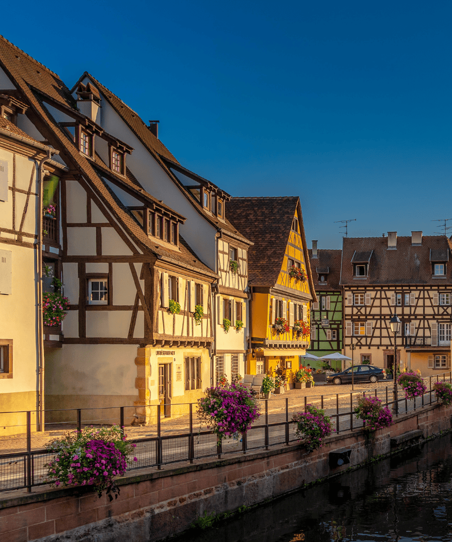 paysage haut rhin