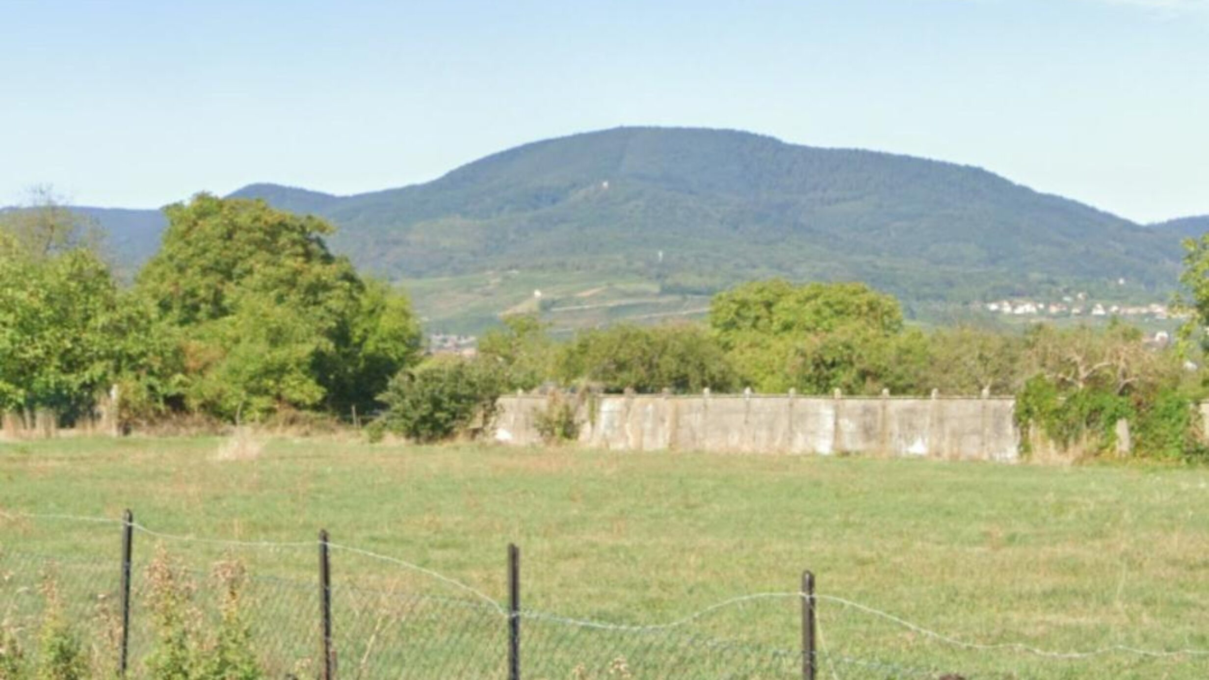 photo 2025 07 24 10 01 43