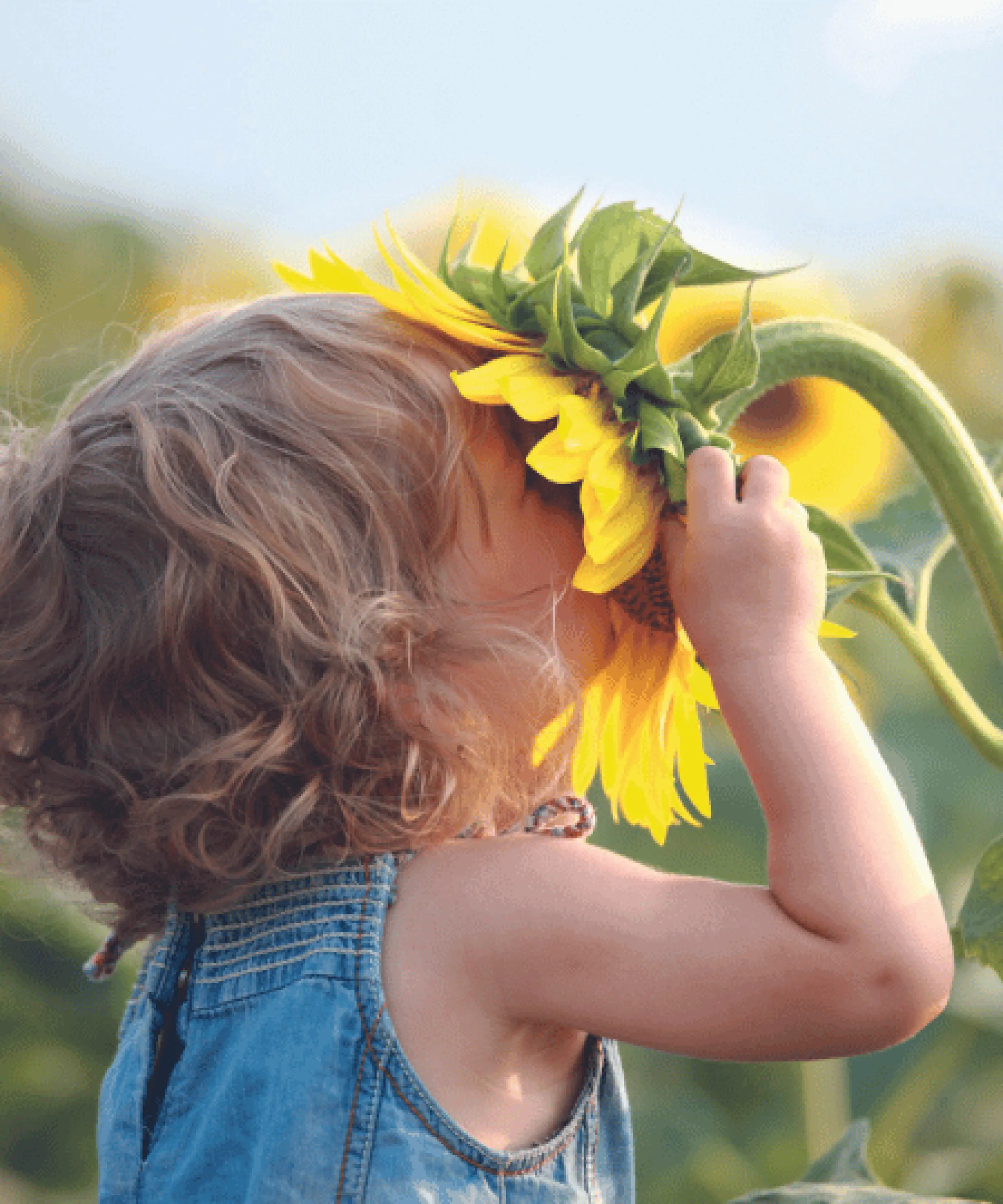 enfant avec tournesol