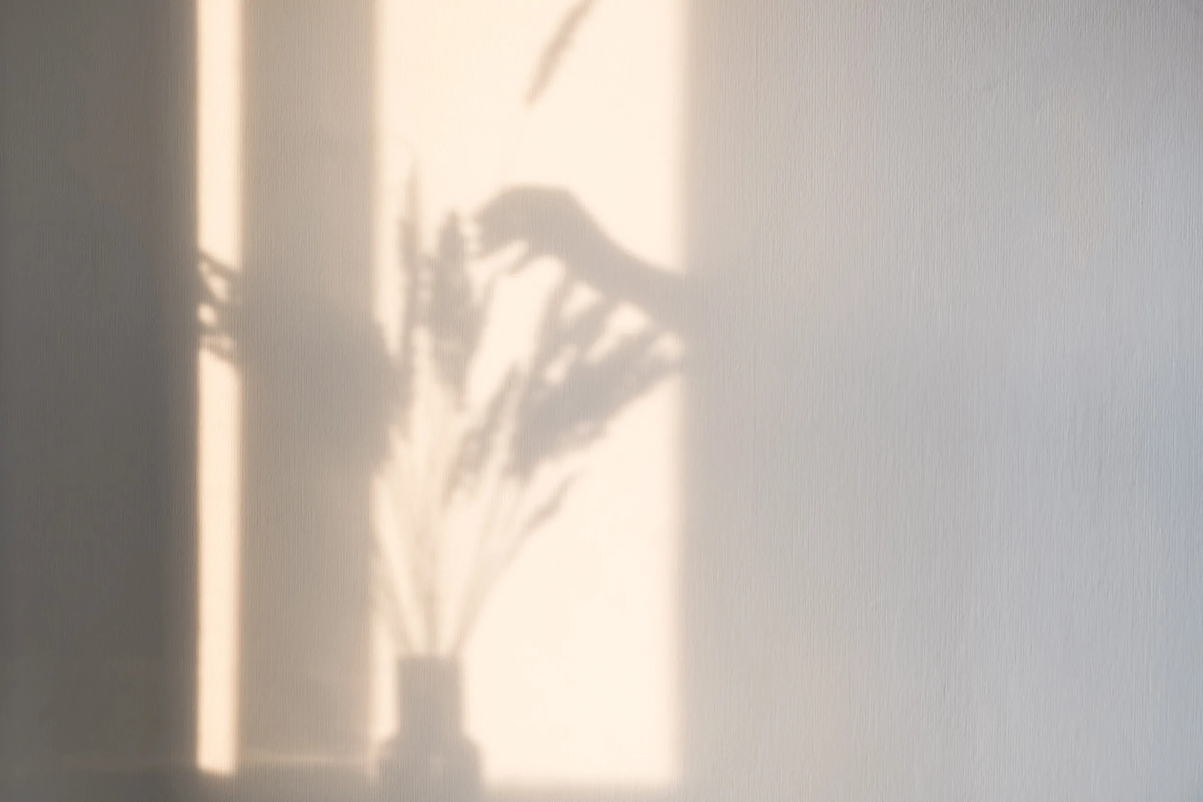 a,bright,shadow,of,a,woman's,hand,adds,a,spike