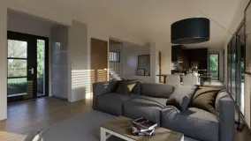 2011498.jpg