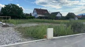 2090059.jpg