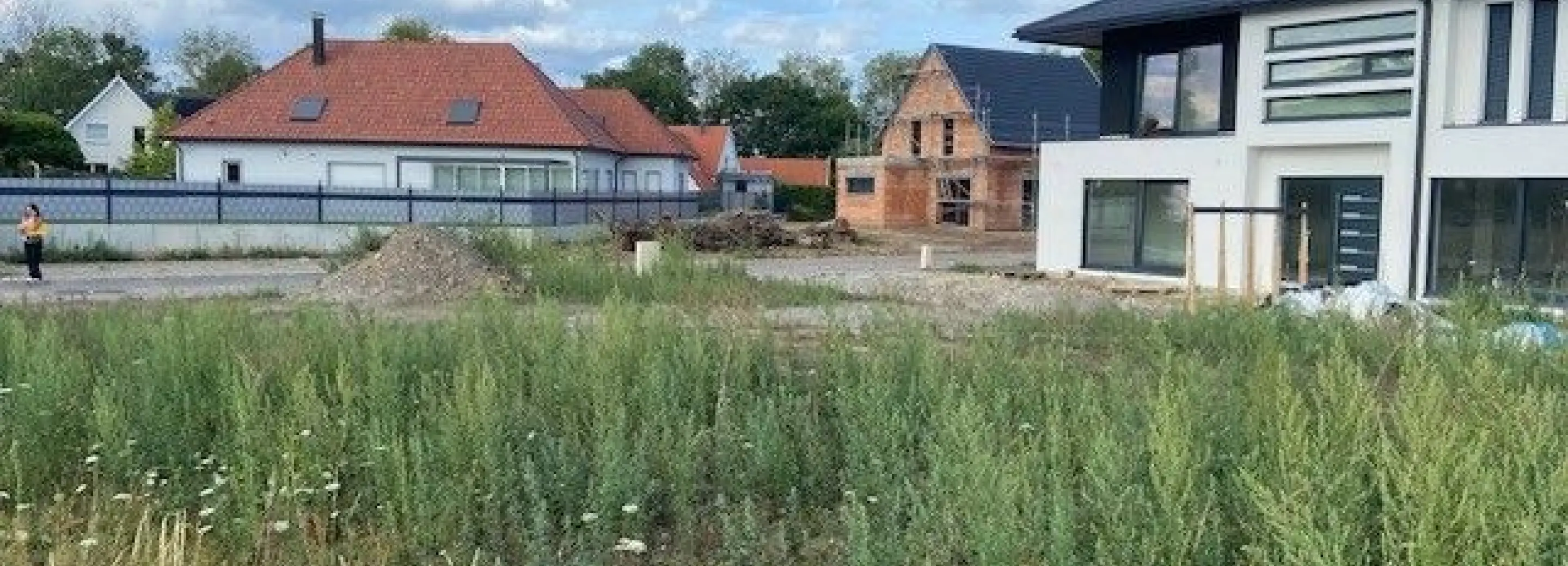 2090061.jpg