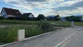 2090060.jpg