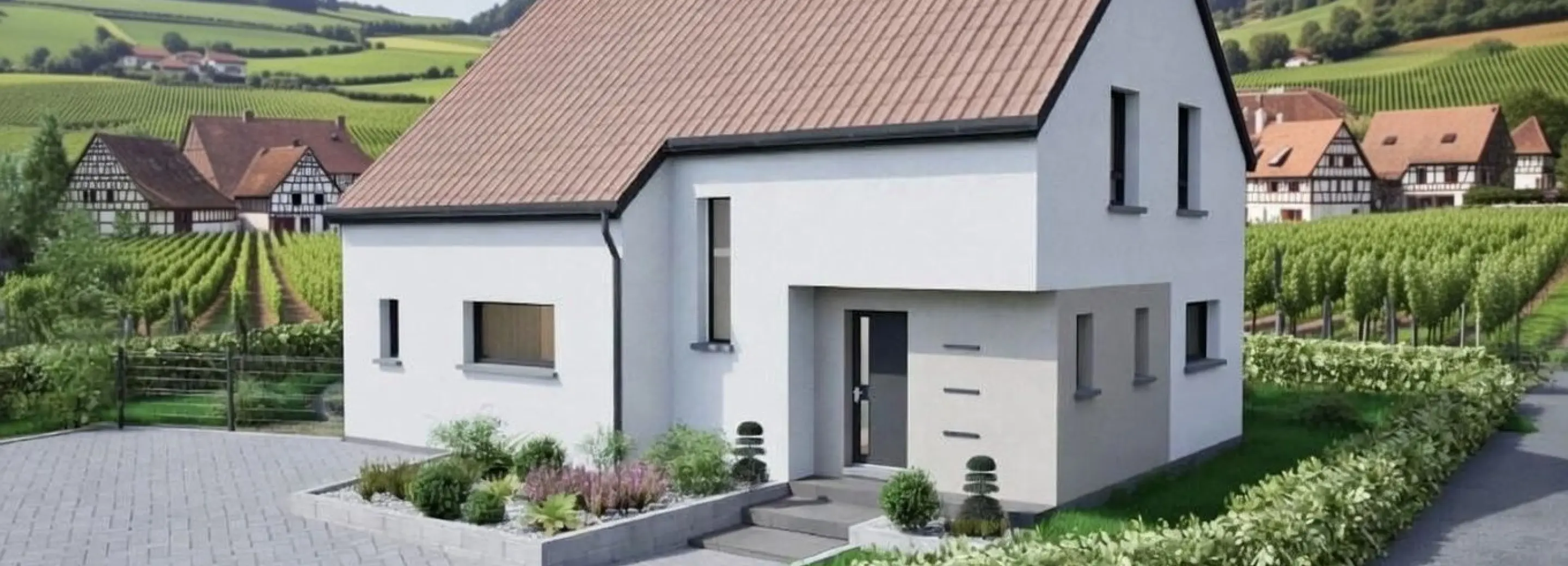 2115519.jpg