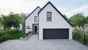 2126205.jpg
