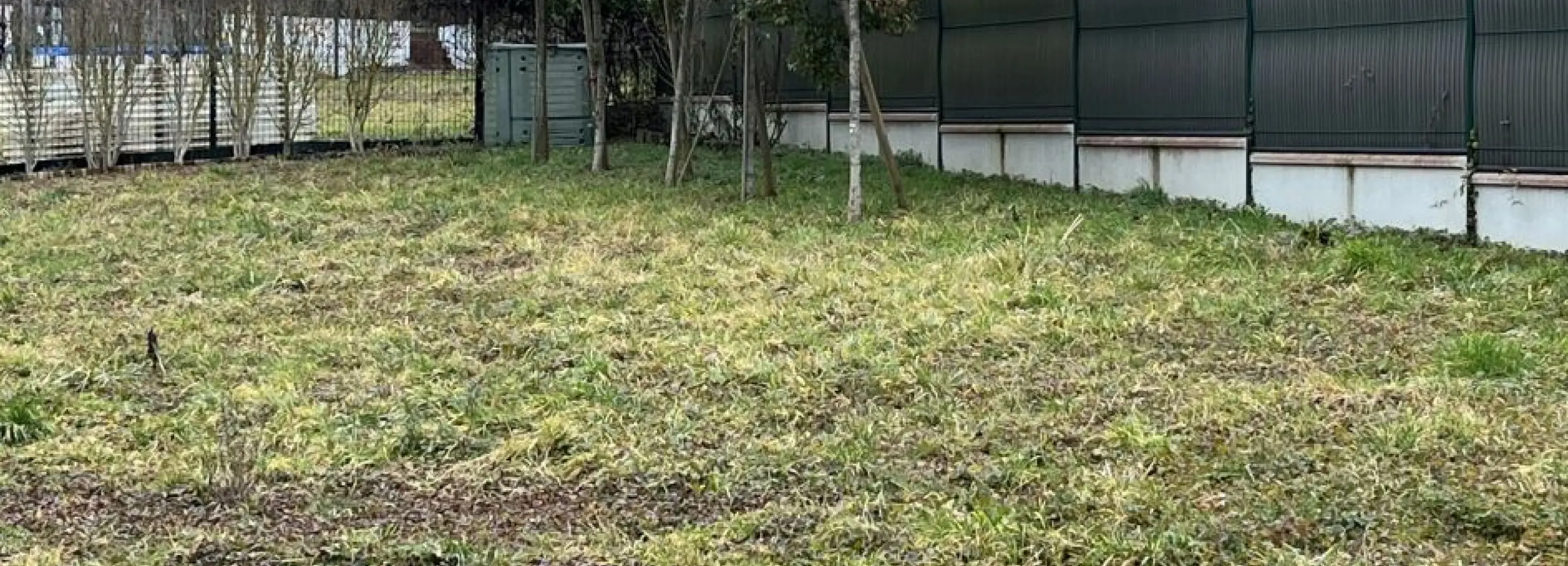 2136298.jpg