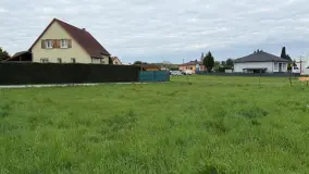 2128655.jpg