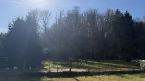 2120261.jpg