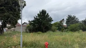 2144154.jpg