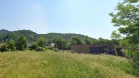2122699.jpg
