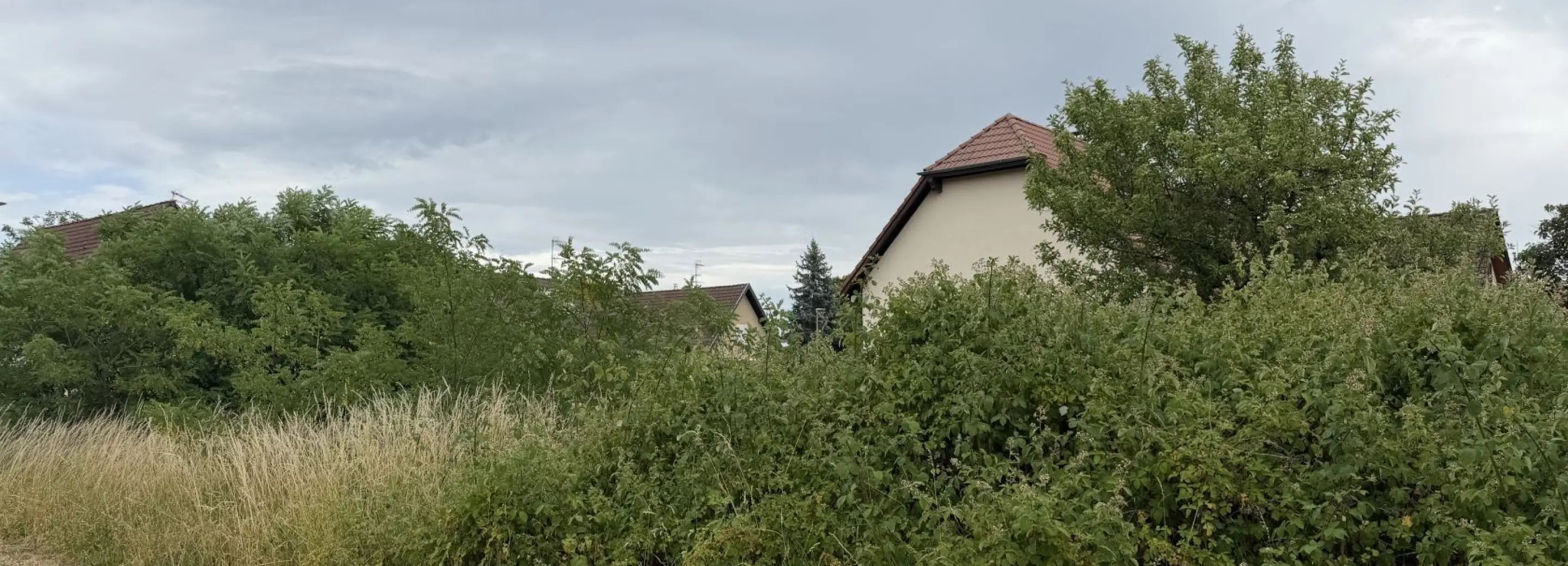 2146301.jpg
