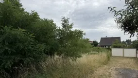 2146302.jpg
