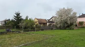 2127888.jpg