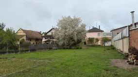 2127889.jpg