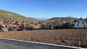 2128874.jpg