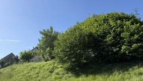 2146247.jpg