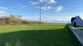 2026089.jpg