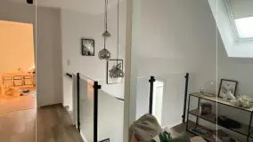 2125811.jpg
