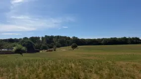 2152678.jpg