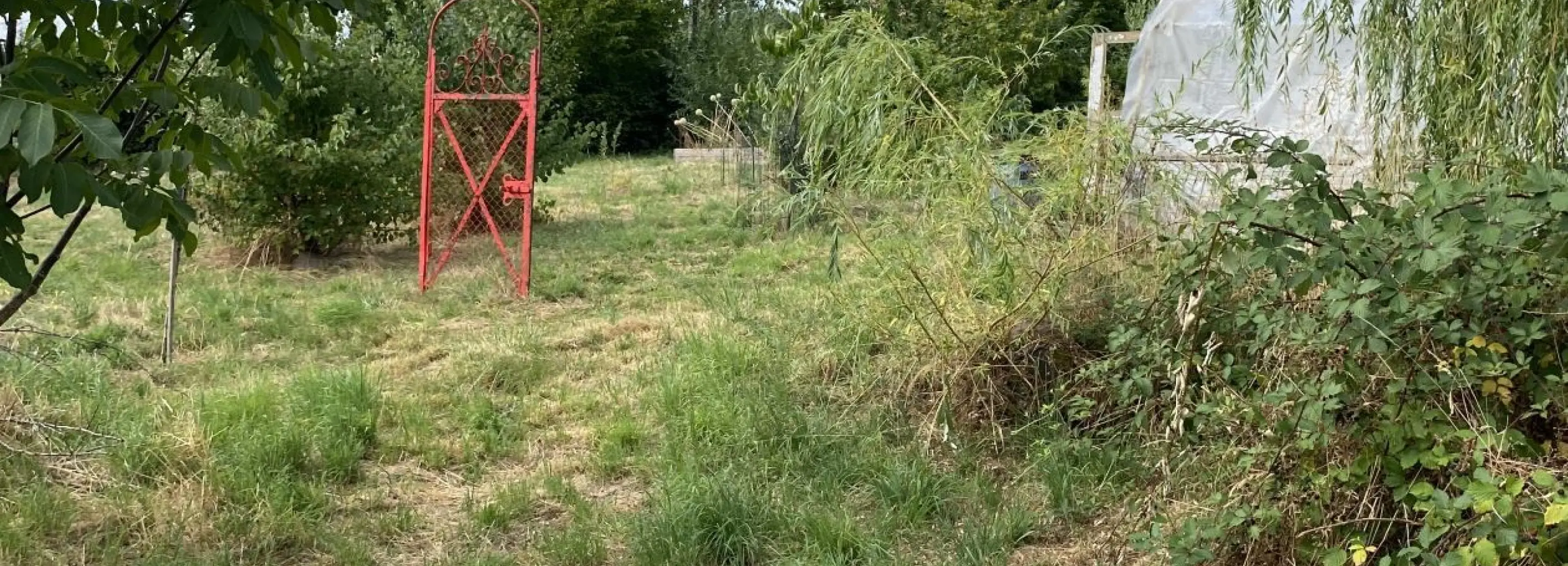 2156751.jpg