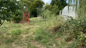 2156751.jpg