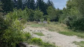 2156752.jpg