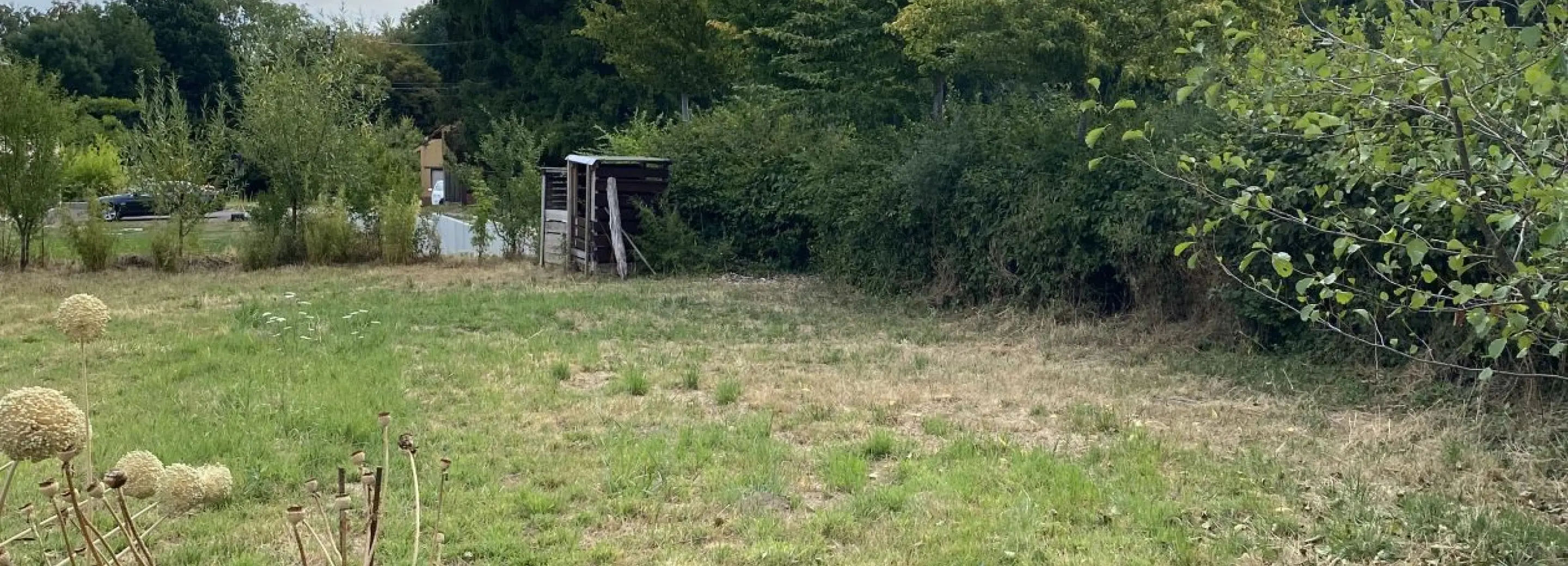 2156753.jpg