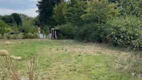 2156753.jpg