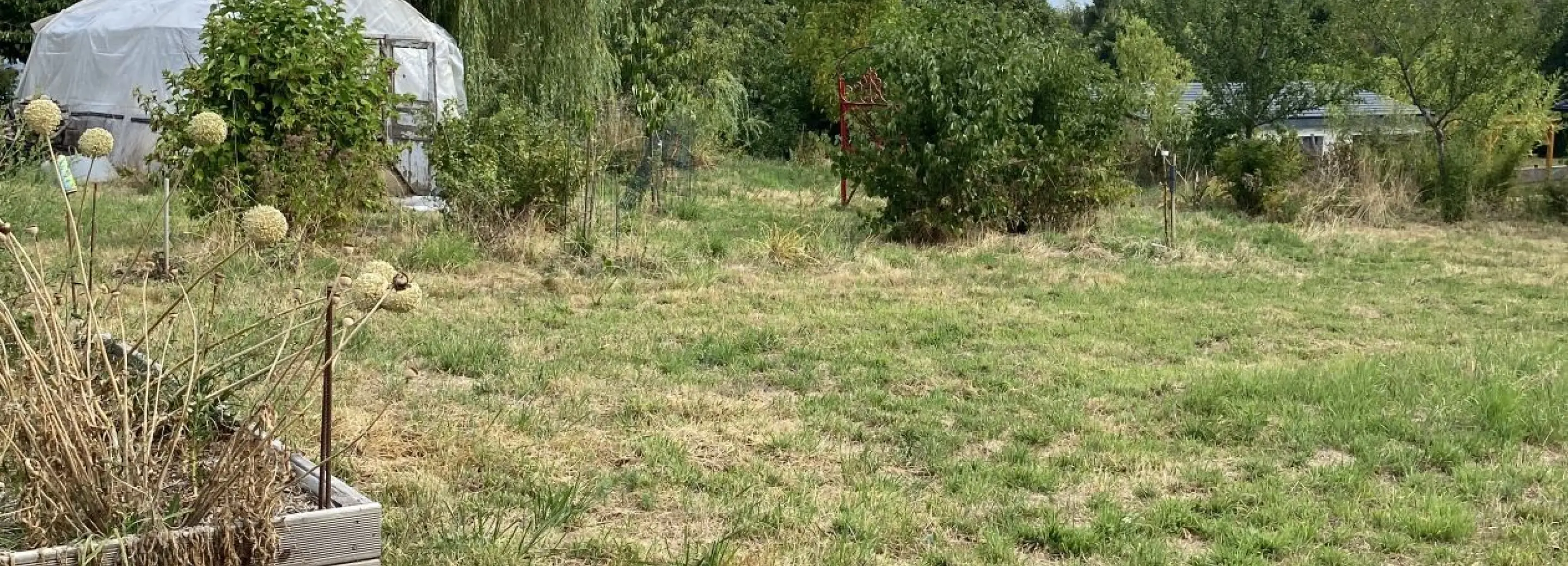2156754.jpg