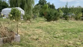 2156754.jpg