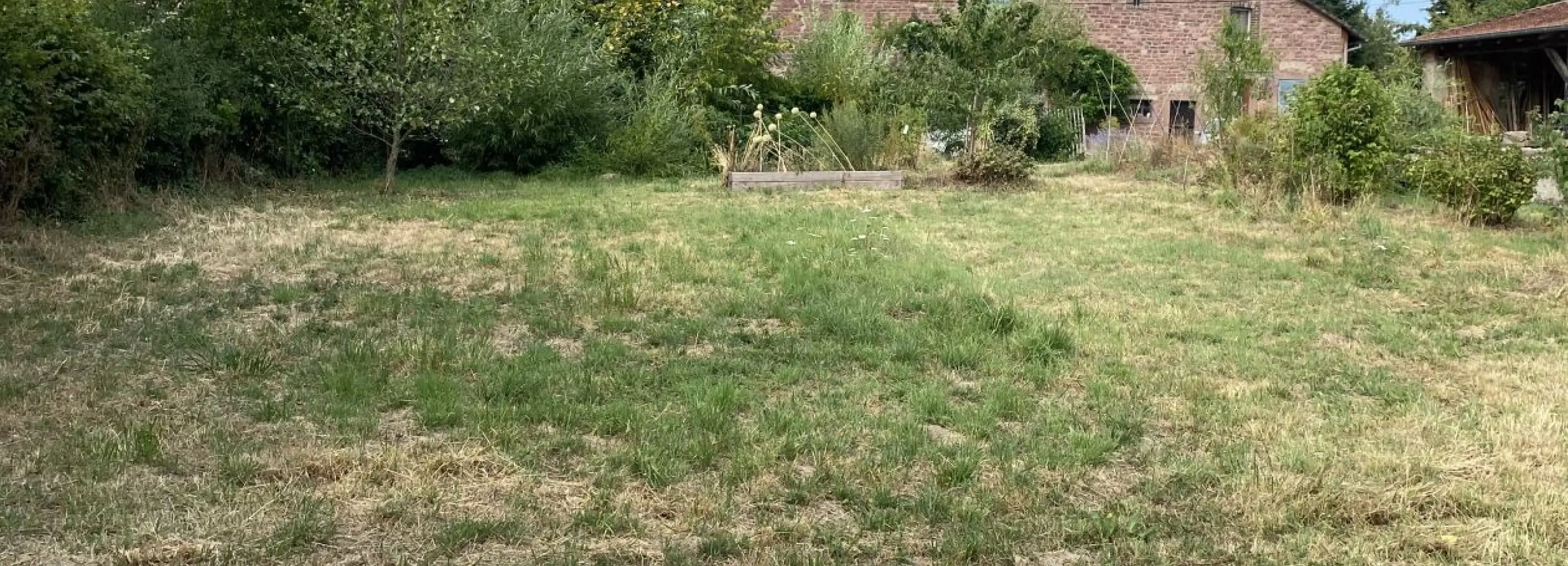 2156755.jpg