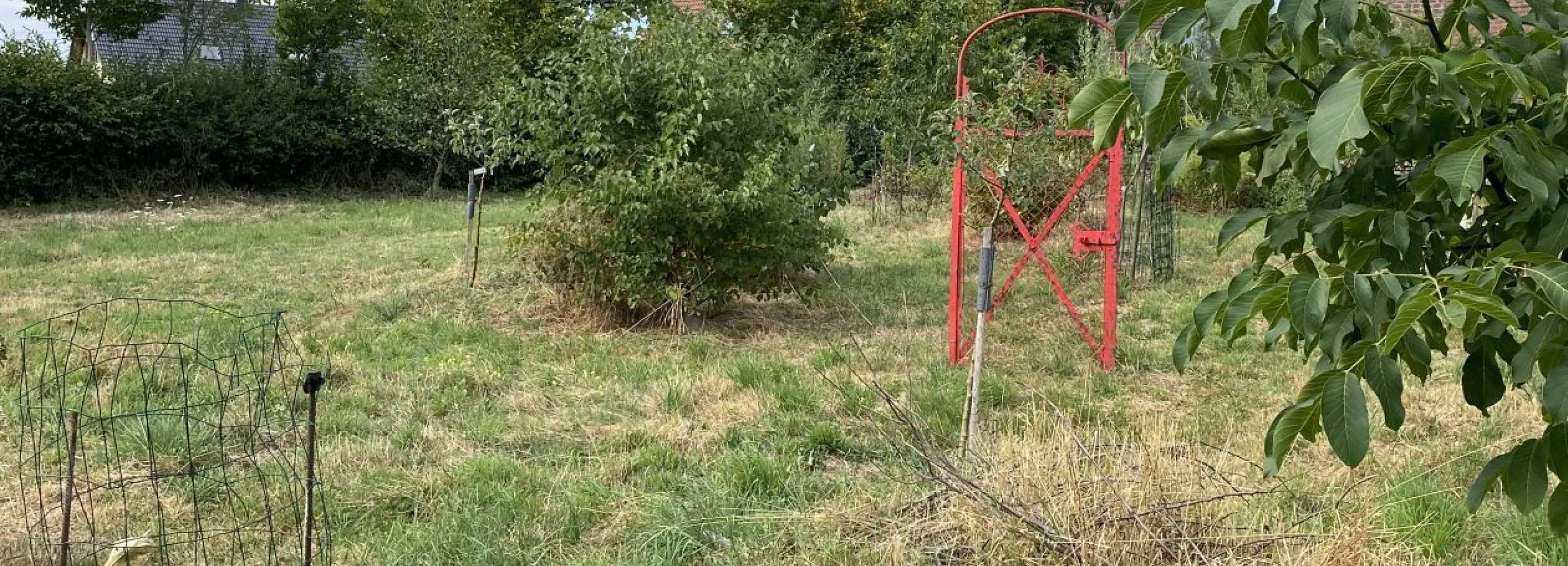 2156756.jpg