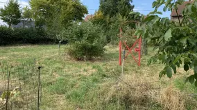 2156756.jpg