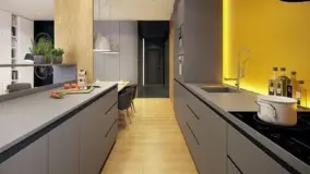 2162414.jpg