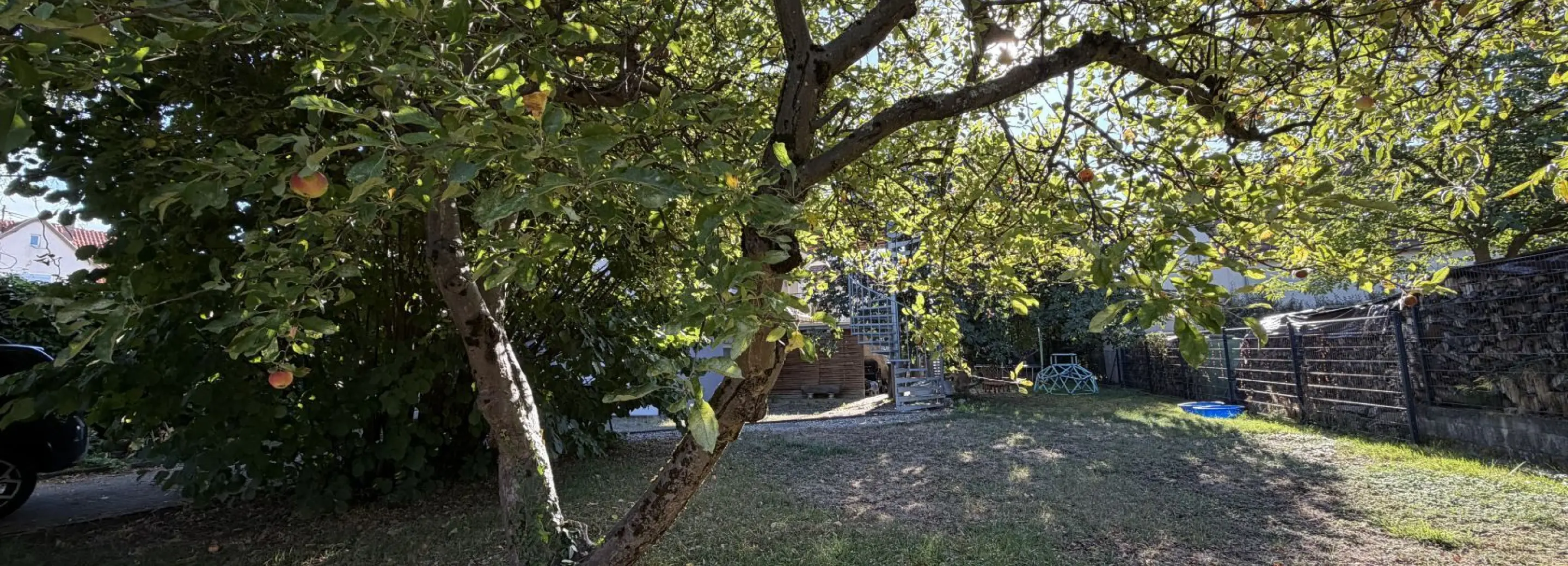 2166852.jpg