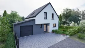 2156760.jpg