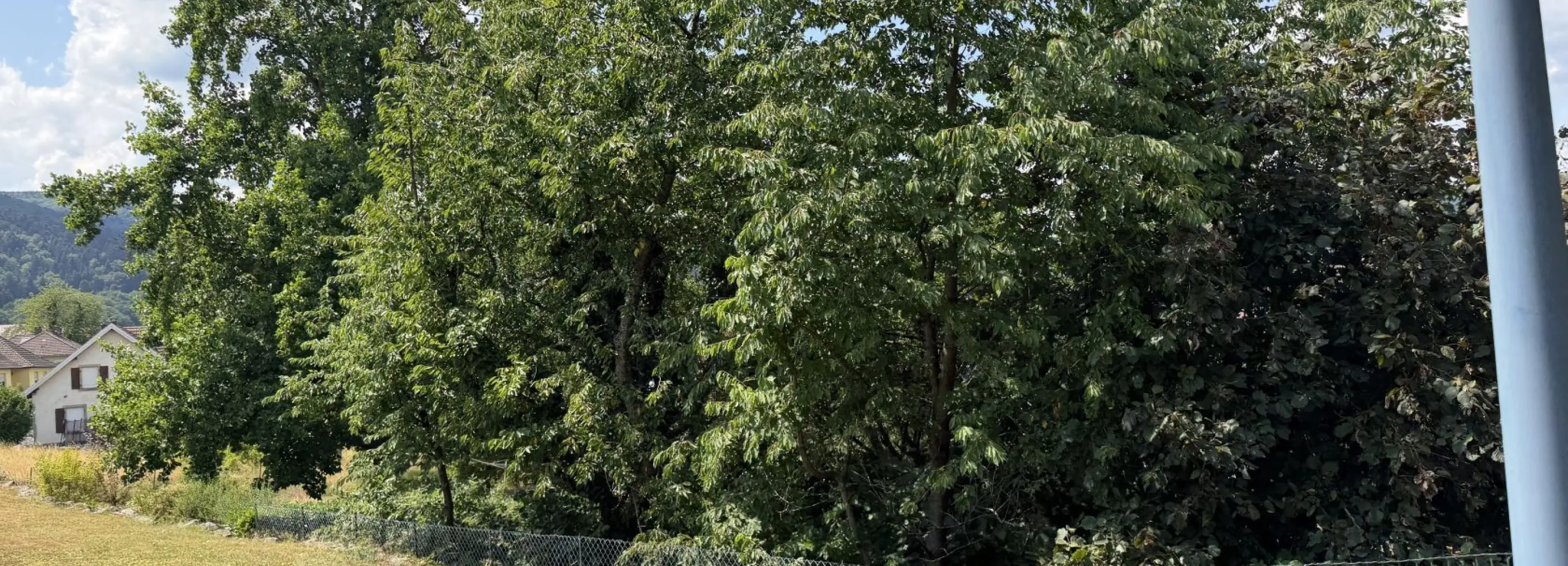 2149708.jpg