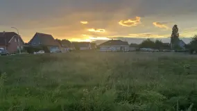 2094844.jpg