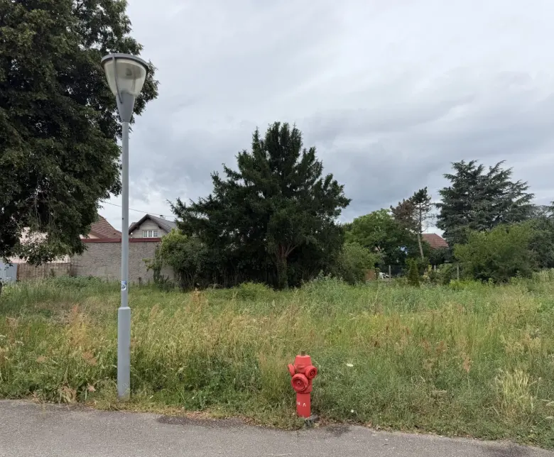 2144154.jpg