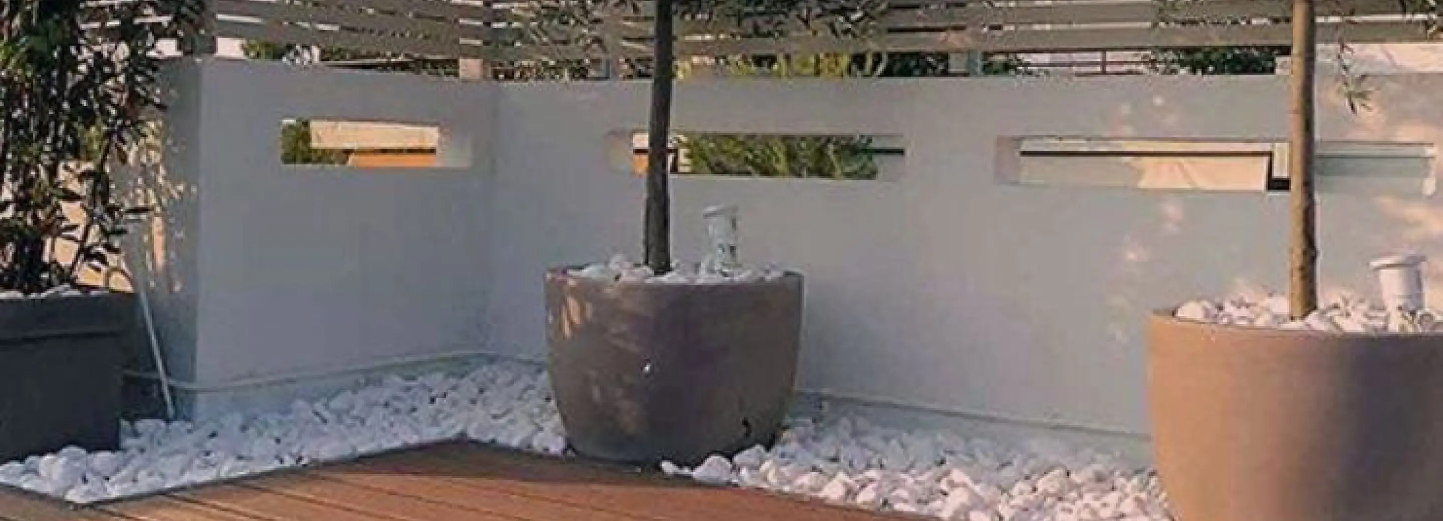 2009315.jpg