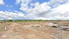 2013442.jpg