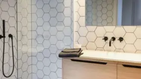 2155139.jpg