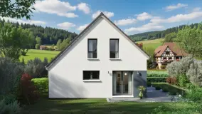 2115523.jpg