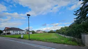 2096556.jpg