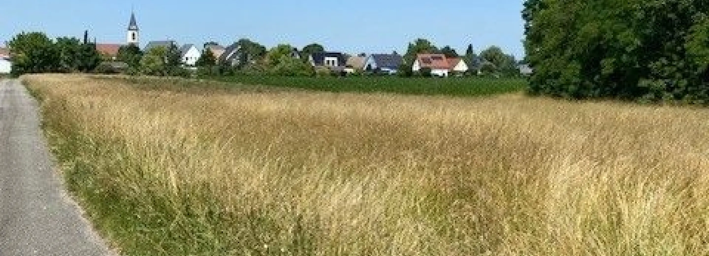 2088353.jpg