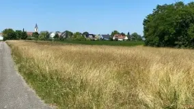2088353.jpg