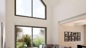 2116509.jpg