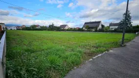 2096554.jpg