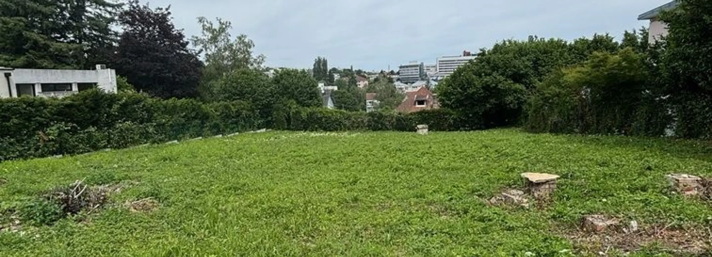 2148434.jpg